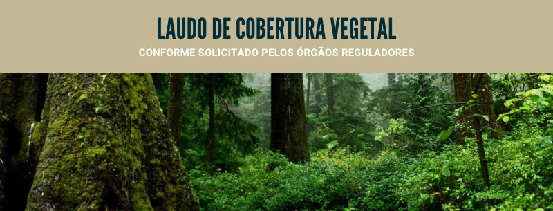 Laudo de Cobertura Vegetal